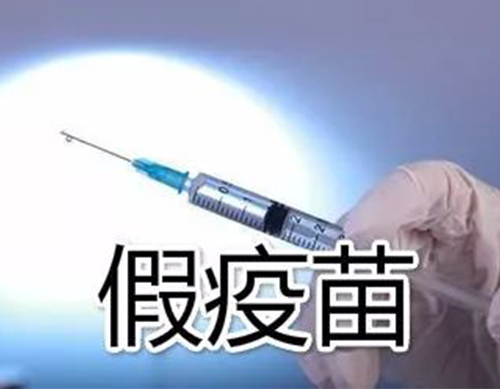 非洲豬瘟有疫苗了？假的！