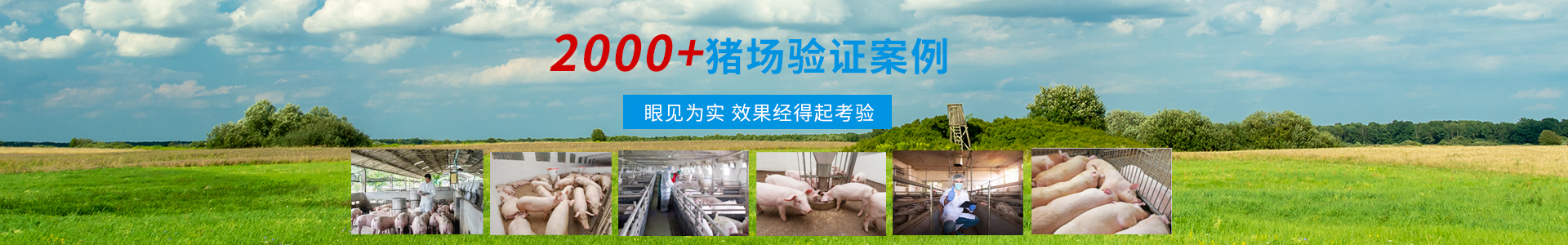 技術(shù)服務(wù)-商丘市森澳達(dá)動物藥業(yè)有限公司